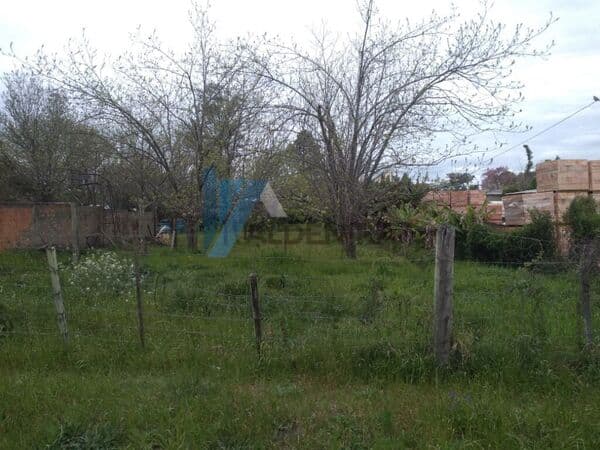 Lote/Terreno em São Gabriel - Santo Antônio