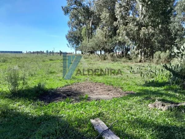 Lote/Terreno em São Gabriel - Universitário