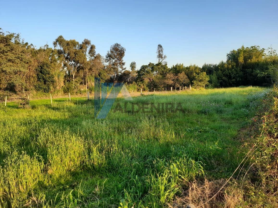 Lote/Terreno em São Gabriel - Bomfim