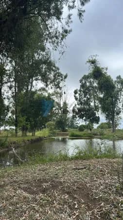 Fazenda/Sítios/Chácaras em São Gabriel - Independência
