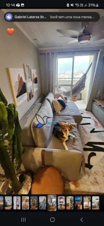 Apartamento 3 dor s/1 suite, 2 vagas, lindo à venda no bairro Vila Nova Cachoeirinha - São Paulo/SP