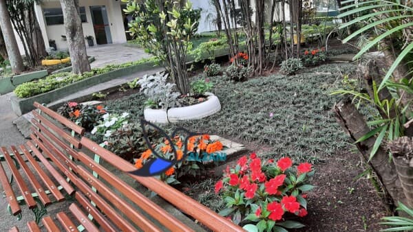 Apartamento em São Paulo - Tremembé
