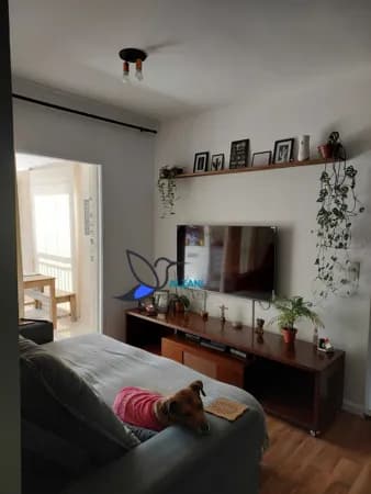 Apartamento com varanda Gourmet à venda no bairro Tucuruvi - São Paulo/SP, Zona Norte