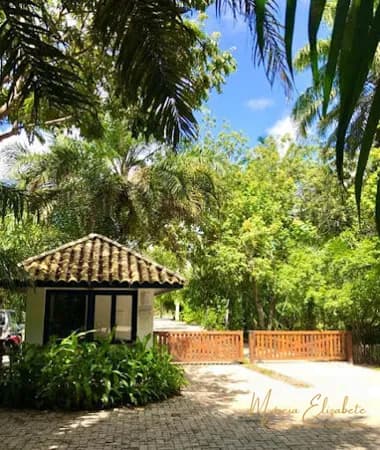 Terreno à Venda Condomínio Fazenda Praia do Forte - Bahia
