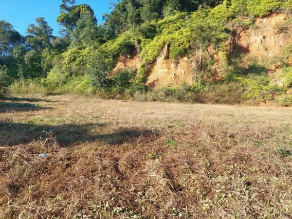 Terreno Lote em Ilhota, Ilhota/SC