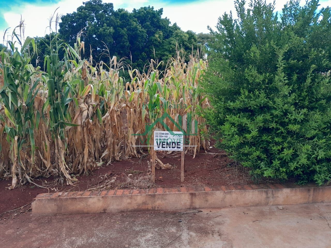 Terreno em Centro, Augusto Pestana/RS