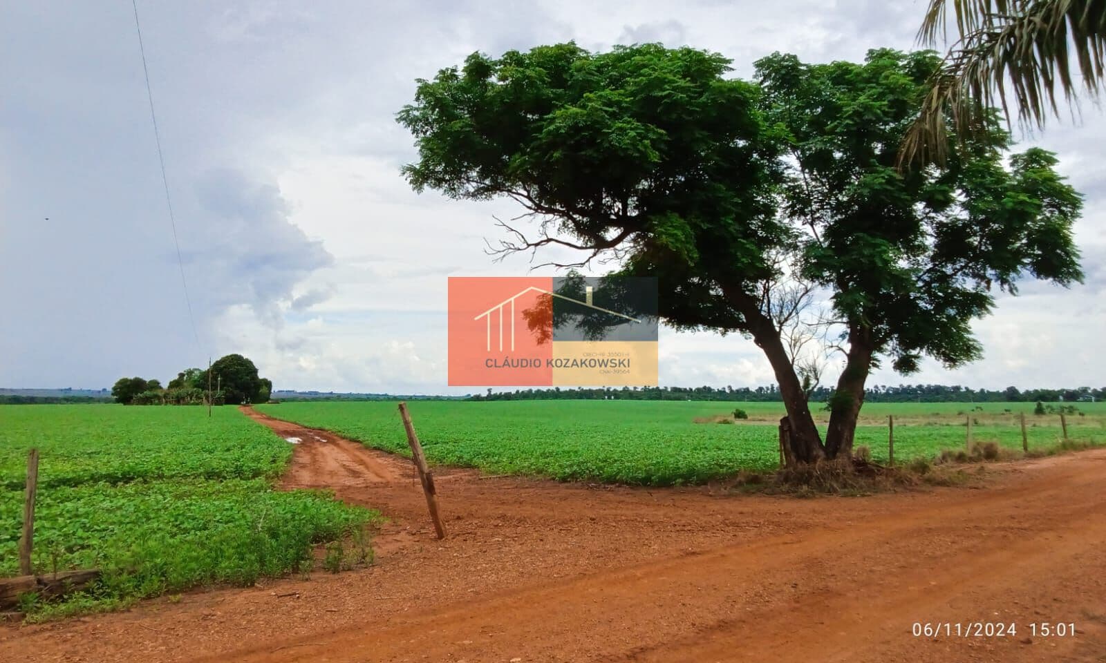 Fazenda Mista em Picadão, Terra Roxa/PR