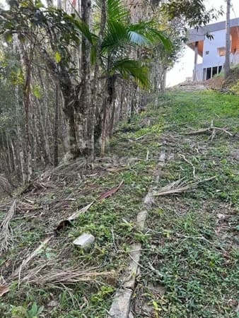 GRANDE TERRENO DE 12.292,76m²