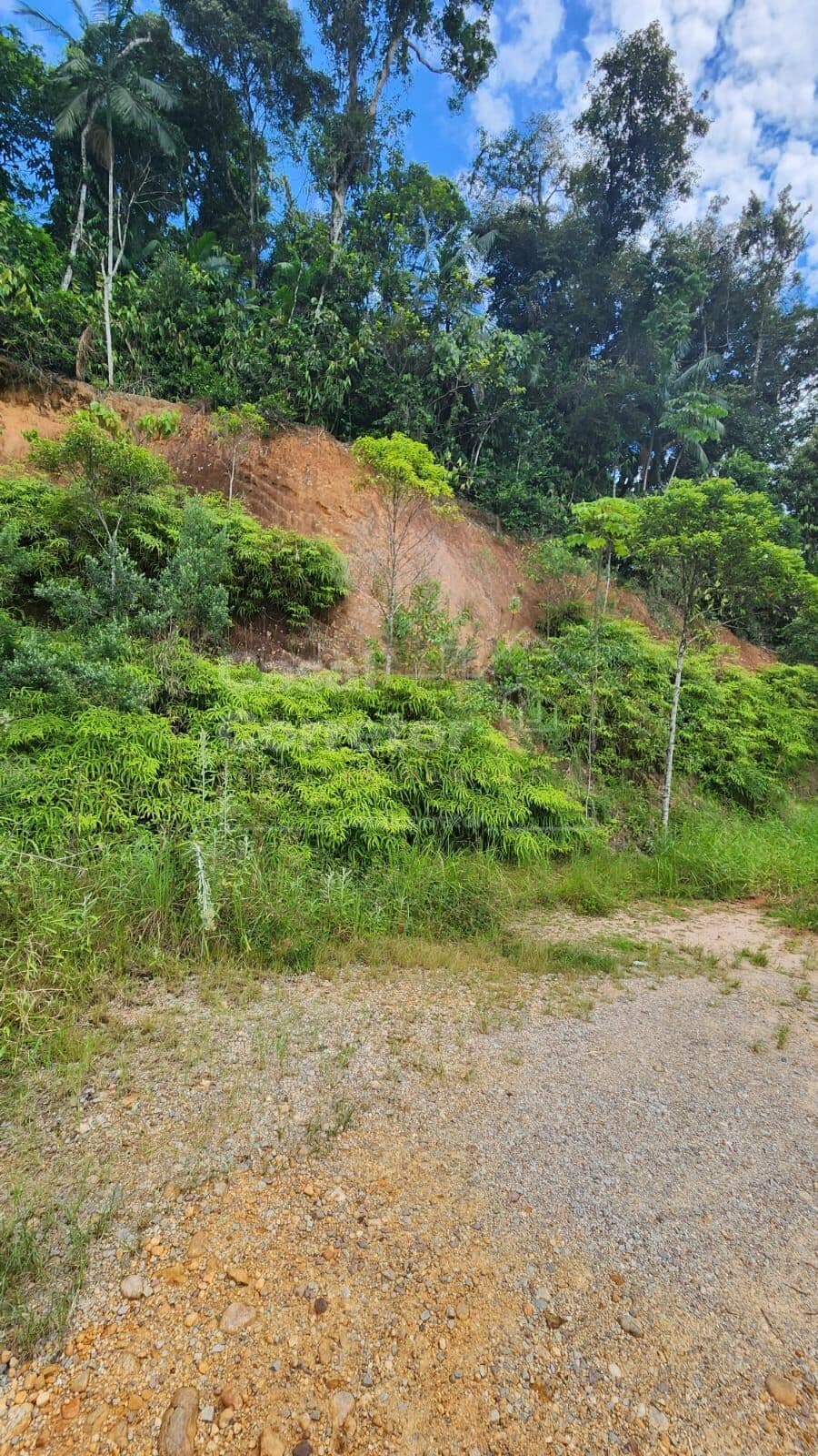TERRENO DE 1.000M² EM LOTEAMENTO RESIDENCIAL
