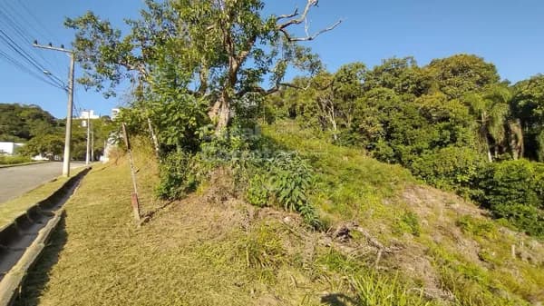 AMPLO TERRENO DE 465m² BEM LOCALIZADO