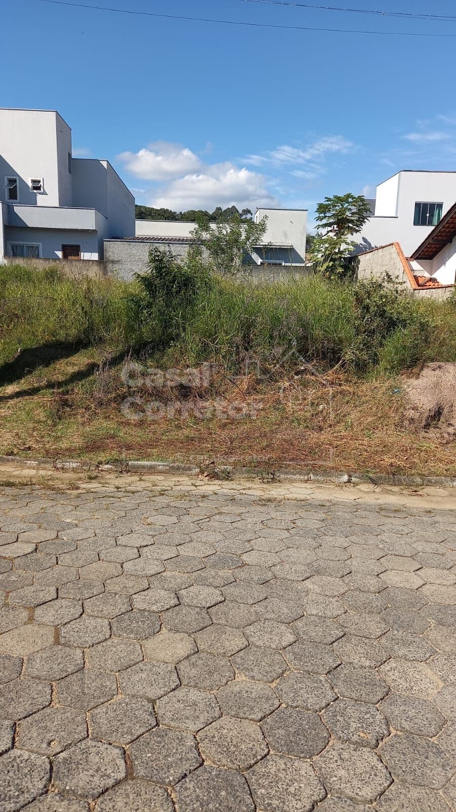 Lote/Terreno em Brusque - Limoeiro