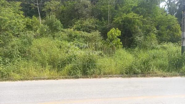 Lote/Terreno em Brusque - S Pedro