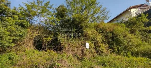 TERRENO EM LOTEAMENTO DE 240m² NO BAIRRO SÃO PEDRO