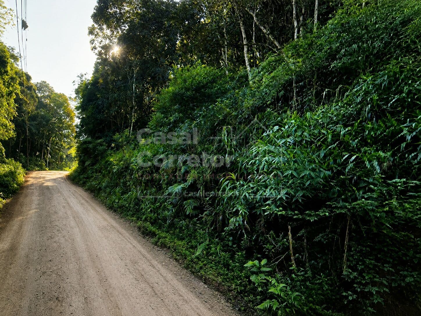 Lote/Terreno em Brusque - São Pedro