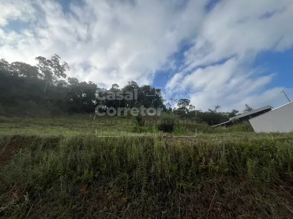 Lote/Terreno em Brusque - Bateas