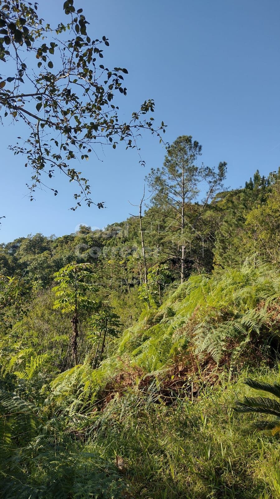 TERRENO COM UMA ÁREA DE 1.226m² EM CONDOMÍNIO