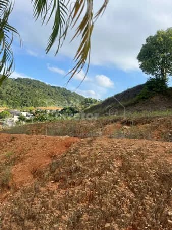 Lote/Terreno em Brusque - Bateas