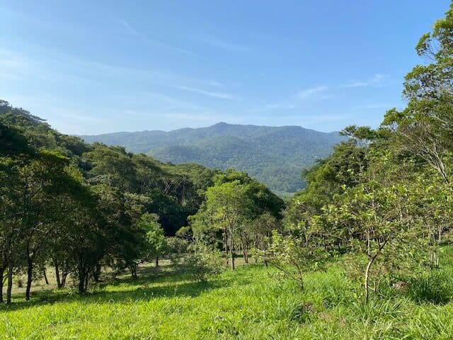 Lindíssima área no morro da Encantada com escritura e uma bela vista