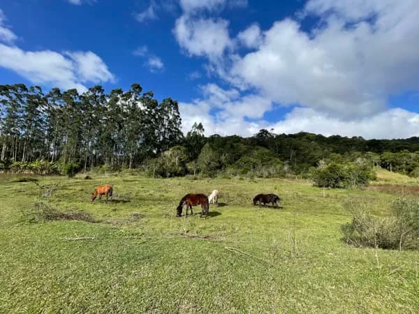 Terreno com 14 Hectares