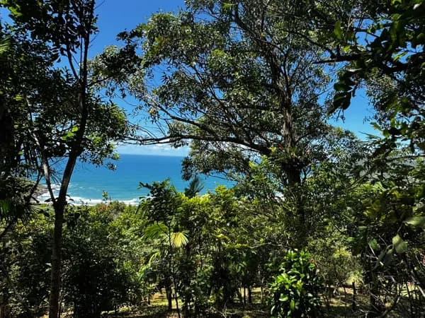Terreno na praia do Silveira em Garopaba com 1.607m2 vista mar em condomínio privativo.