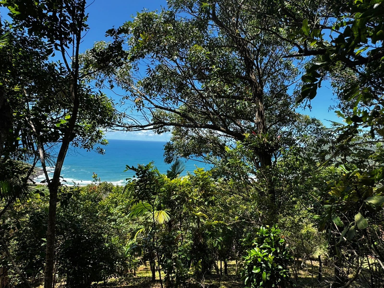 Terreno na praia do Silveira em Garopaba com 1.607m2 vista mar em condomínio privativo.