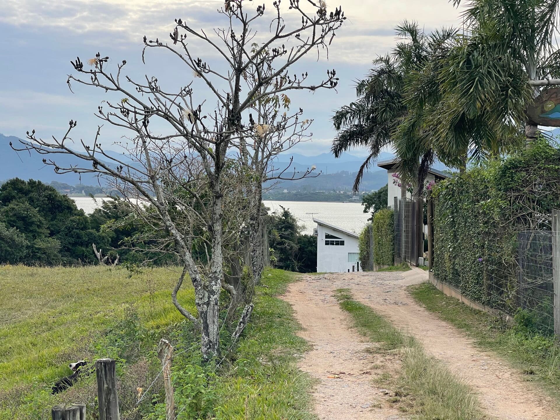 Terreno à Venda com Vista para Lagoa - Praia do Rosa SC