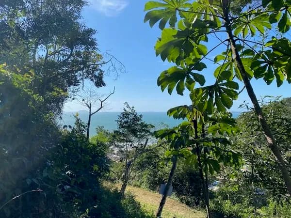 Terreno em meio a natureza com bela vista do mar