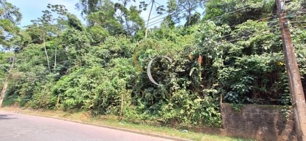 Lote/Terreno em Ilhabela - Cocaia
