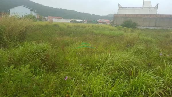 Terreno ideal para incorporação Imobiliária Minha casa Minha Vida