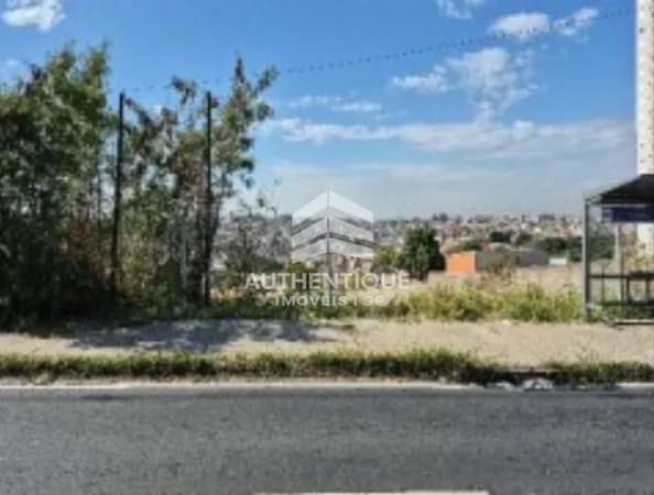 Terreno Em Leilão
