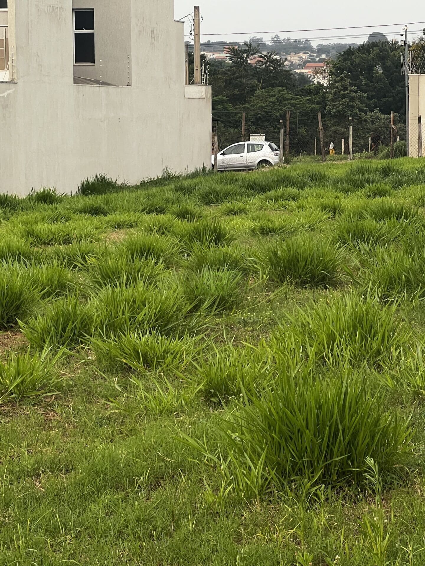 Lote/Terreno em Americana - Jardim Werner Plaas VII