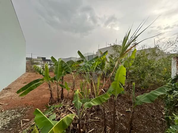 Terreno Lote 312 METROS