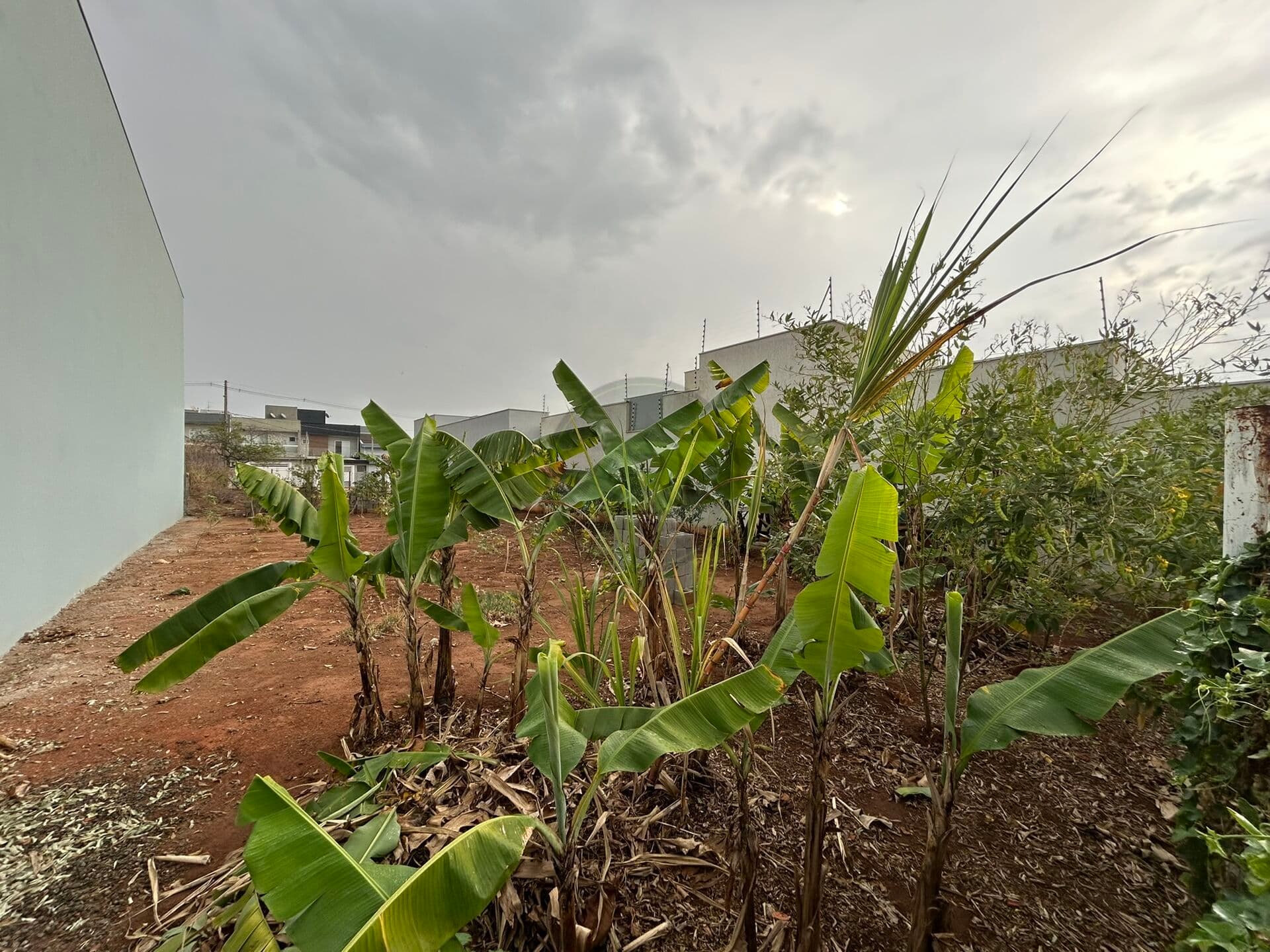 Terreno Lote 312 METROS