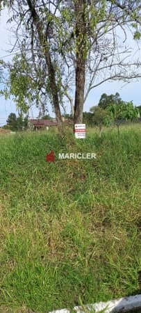 Terreno em LOTEAMENTO LAUX, São Sebastião do Caí/RS