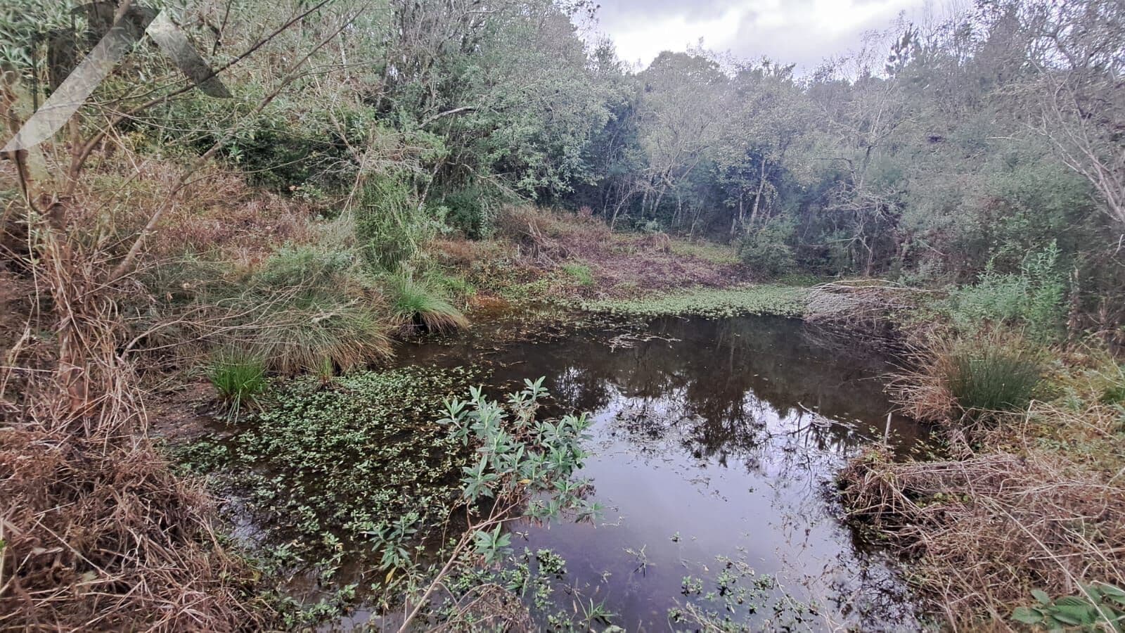 Chácara a venda em Tijucas do Sul