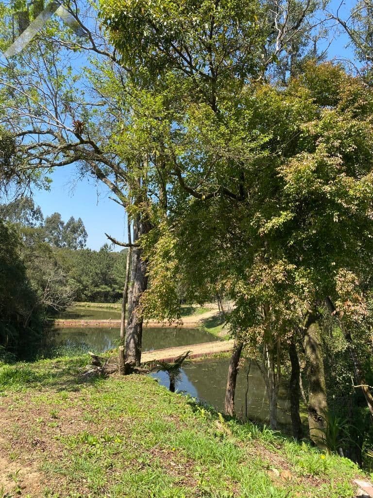 Chácara a venda porteira fechada em São José Dos Pinhais