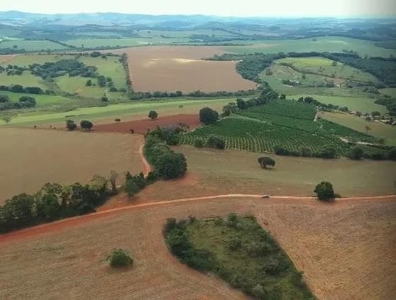 Fazenda/Sítios/Chácaras em Três Corações - Cotia