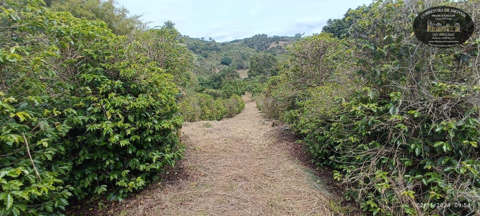 Sítio com nascente