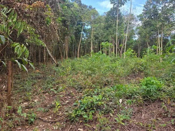 Terreno Lote em São Sebastião das Águas Claras, Nova Lima/MG