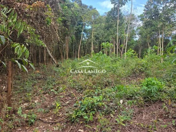 Terreno Lote em São Sebastião das Águas Claras, Nova Lima/MG