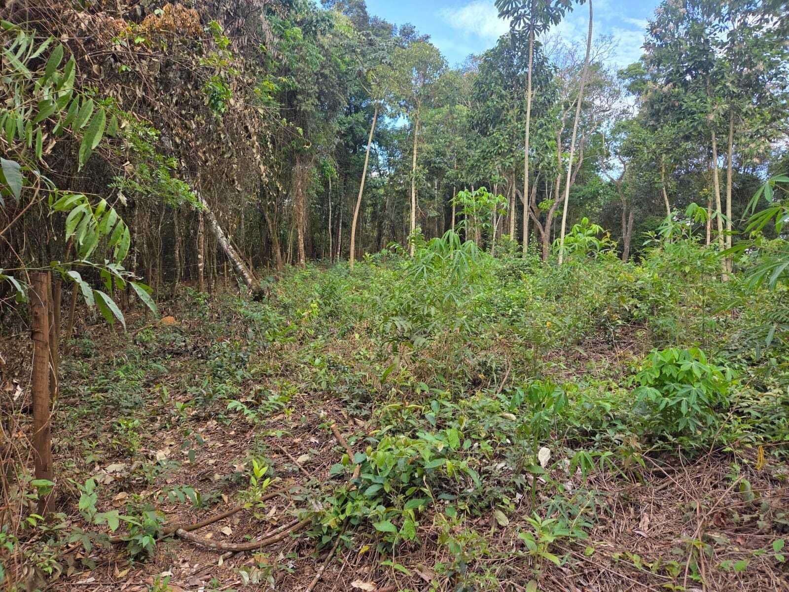 Terreno Lote em São Sebastião das Águas Claras, Nova Lima/MG