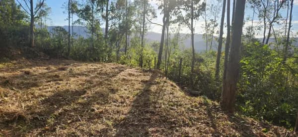 Excelente oportunidade de investimento! Terreno de 30.000 m²