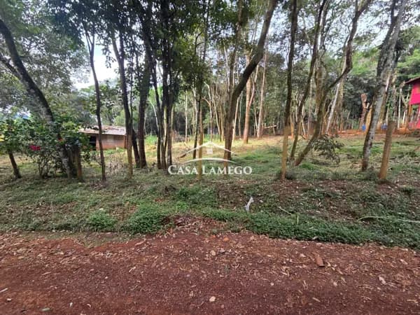 Lote/Terreno em Nova Lima - São Sebastião das Águas Claras
