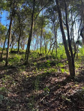 Terreno Condomínio Pasárgada, Nova Lima/MG