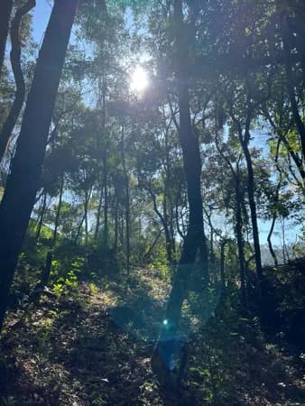 Terreno Condomínio Pasárgada, Nova Lima/MG