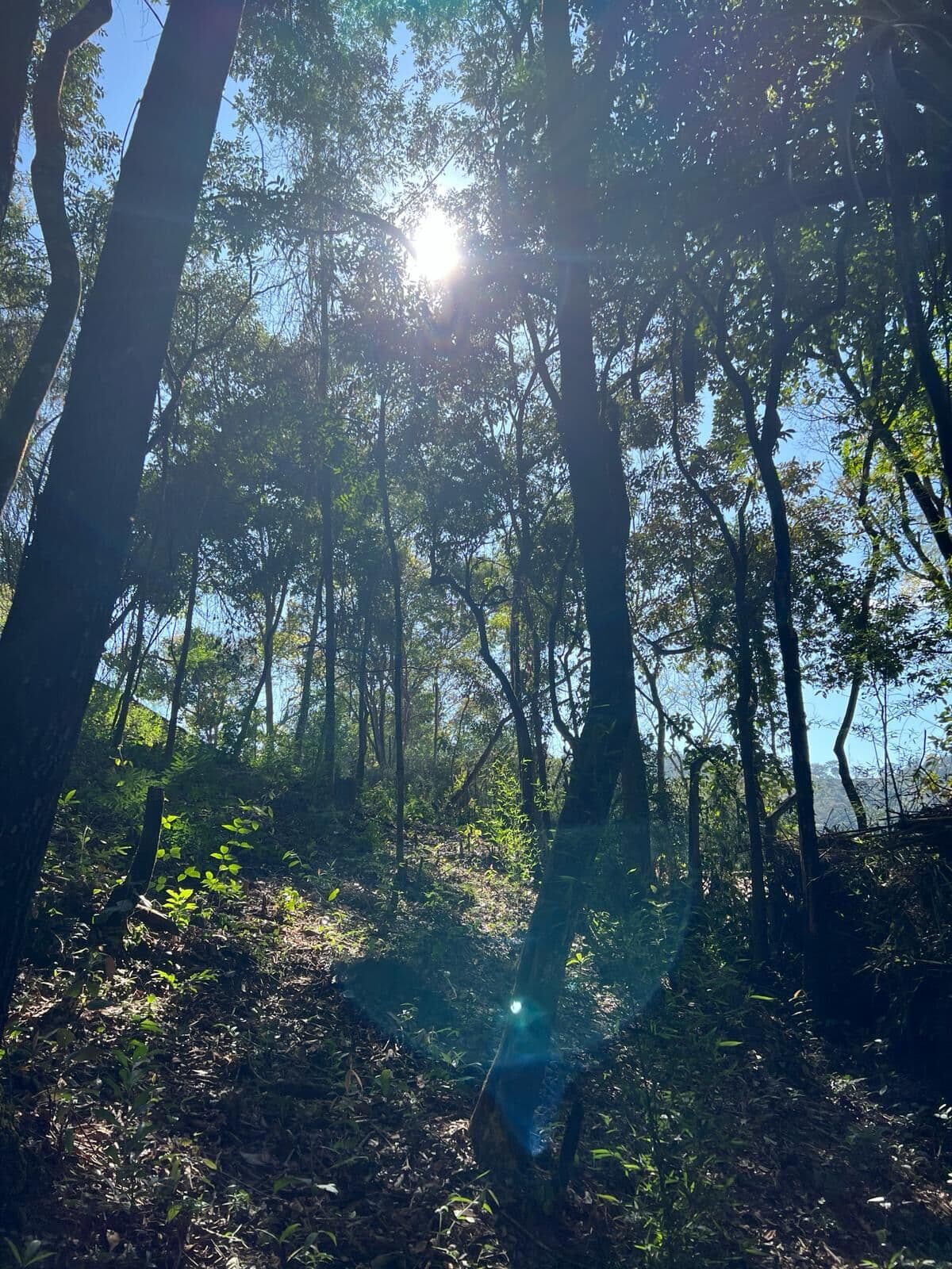 Terreno Condomínio Pasárgada, Nova Lima/MG