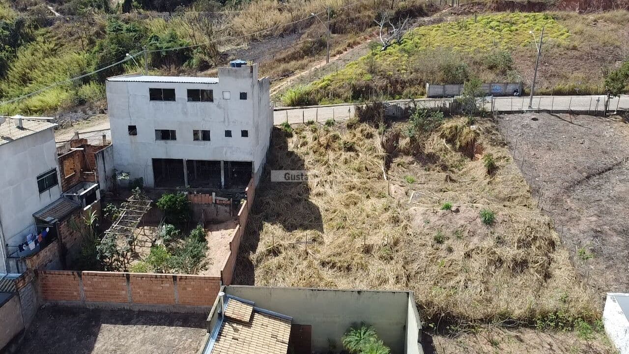 Lote