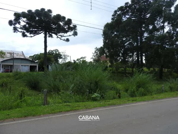 Lote/Terreno em Caxias do Sul - Vila Seca