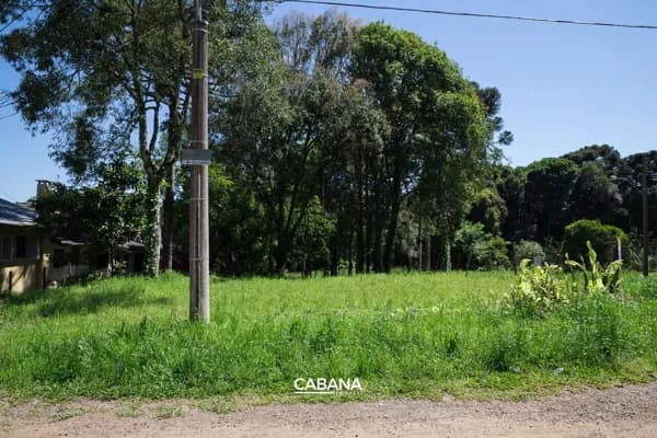 Lote/Terreno em Caxias do Sul - Ana Rech