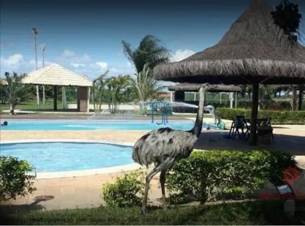 CASA DE CONDOMÍNIO / CASA EM MACAÍBA-RN / CASA DE CONDOMÍNIO EM NATAL / CASA ALTO PADRÃO / CASA COM PISCINA EM MACAIBA / CASA EM MACAIBA / CONDOMÍNIO FAZENDA REAL / CASA NO COMDOMINIO FAZENDA REAL